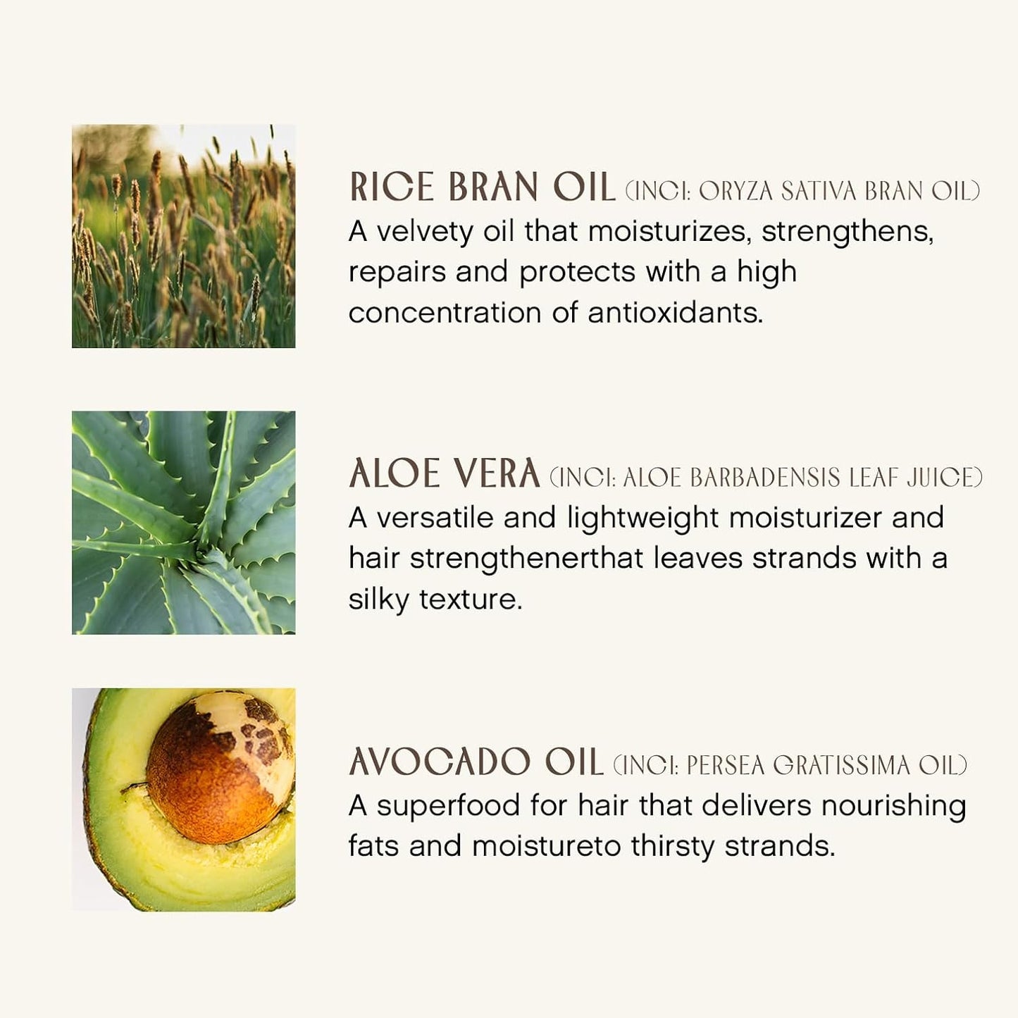INNERSENSE Organic Beauty - Natural Pure Inspiration Daily Conditioner | Non-Toxic, Cruelty-Free, Clean Haircare (10oz)